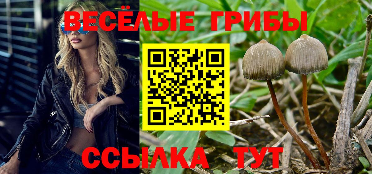 Галлюциногенные грибы Psilocybine cubensis  Вход с VPN  Оренбург 